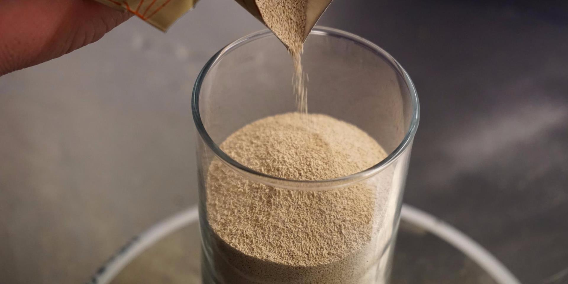 خميرة البيرة